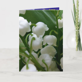 Cartão Flores Brancas Lírio Escritório Paz Amor Destino