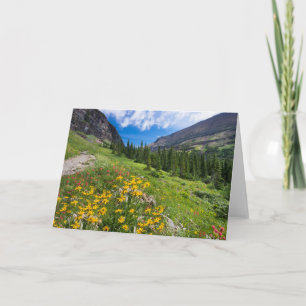 Cartão Flores   Caminho da Flor de Montana