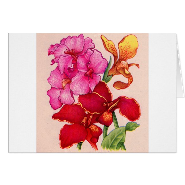 Cartão flores canaras (Frente Horizontal)