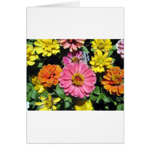 Cartão Flores Coloridas