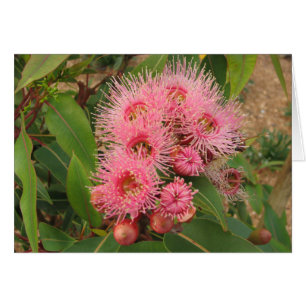 Cartão Flores cor-de-rosa da goma