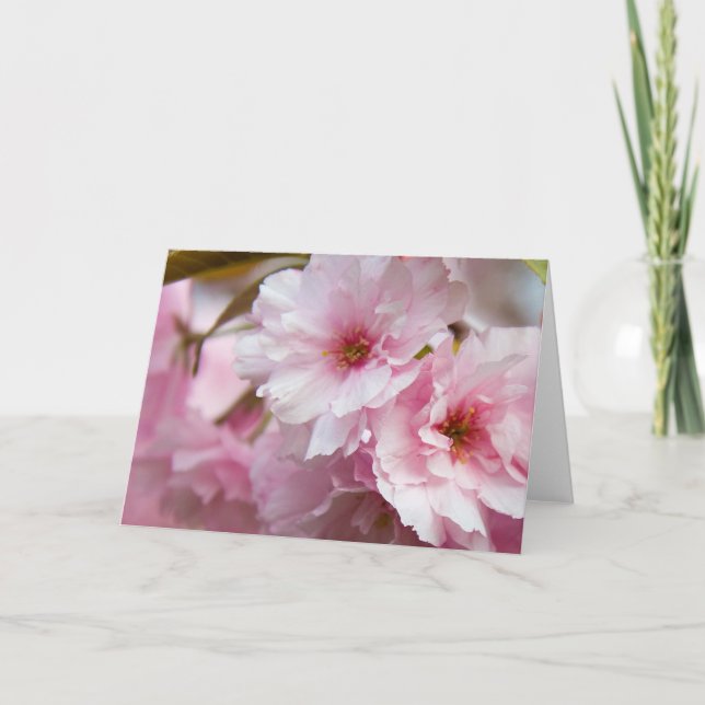 Cartão Flores cor-de-rosa de Sakura (Frente)