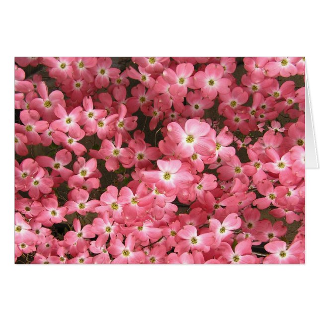 Cartão Flores cor-de-rosa do Dogwood (Frente horizontal)
