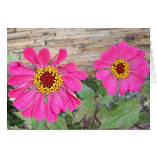 Cartão Flores cor-de-rosa duplo (Frente horizontal)