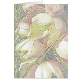 Cartão Flores da mandioca no lápis colorido