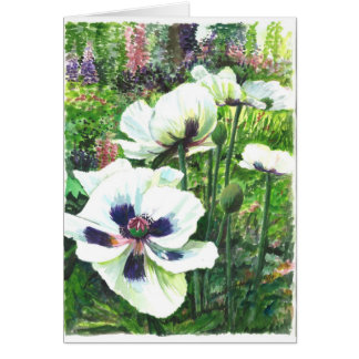 Cartão Flores da papoila branca no campo