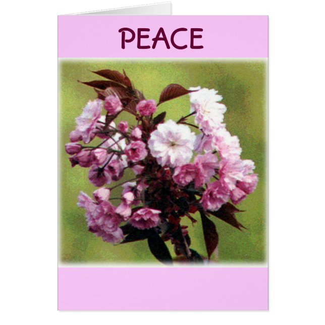 Cartão Flores da paz (Frente)