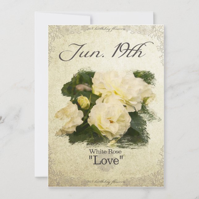 Cartão Flores de aniversário em 19 de junho "Rosa Branca" (Frente)