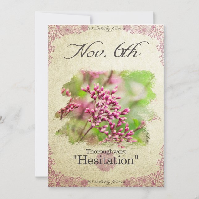 Cartão Flores de aniversário em 6 de novembro "Thoroughwo (Frente)