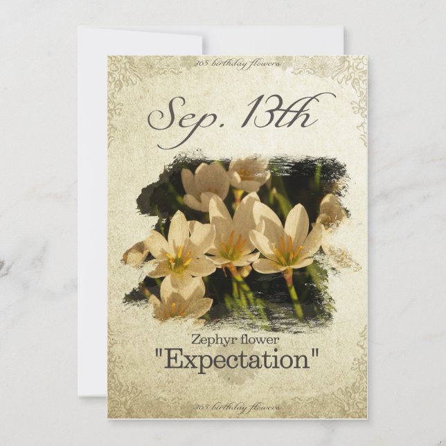 Cartão Flores de aniversário no 13 de setembro "Flor Zeph (Frente)
