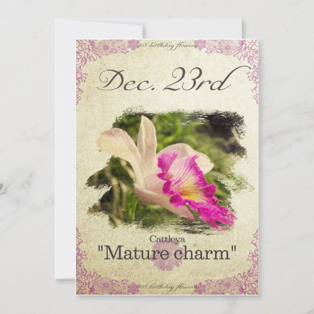 Cartão Flores de aniversário no dia 23 de dezembro "Cattl (Frente)