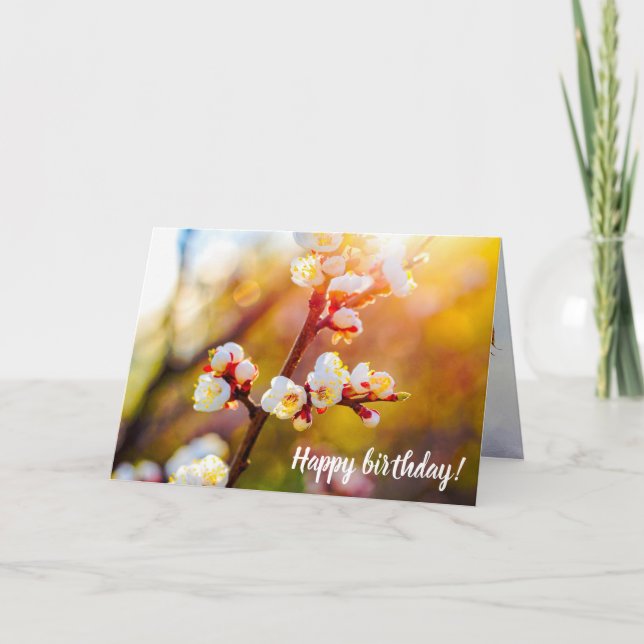 Cartão Flores De Apricot Japonesas No Sunset Laranja Quen (Frente)