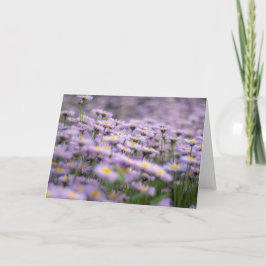 Cartão Flores de Aster Roxo