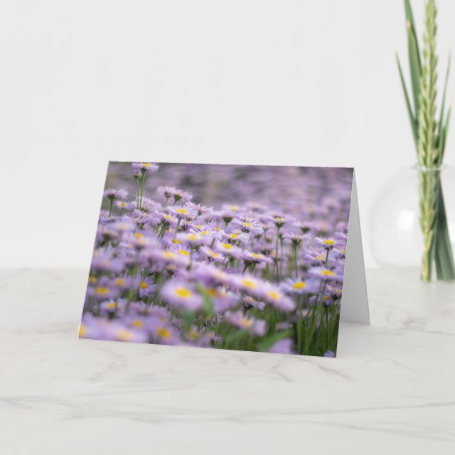 Cartão Flores de Aster Roxo (Frente)