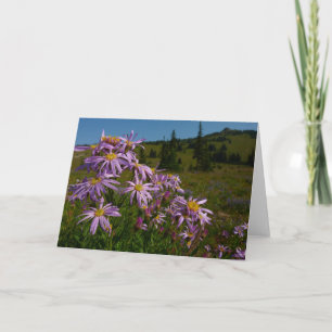 Cartão Flores de Aster Roxo no Monte Rainier