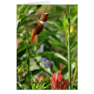 Cartão Flores de beija-flores