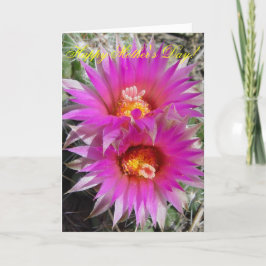 Cartão Flores de Cactus F5 Bola "Escobaria vivipara"