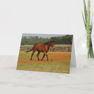 Cartão Flores de Cavalo que Andam na Baía Thoroughgenek