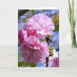 Cartão Flores de cerejeira dobro