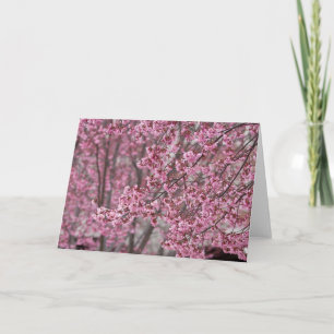 Cartão Flores de Cerejeira Sakura Cor-de-Rosa Fluindo
