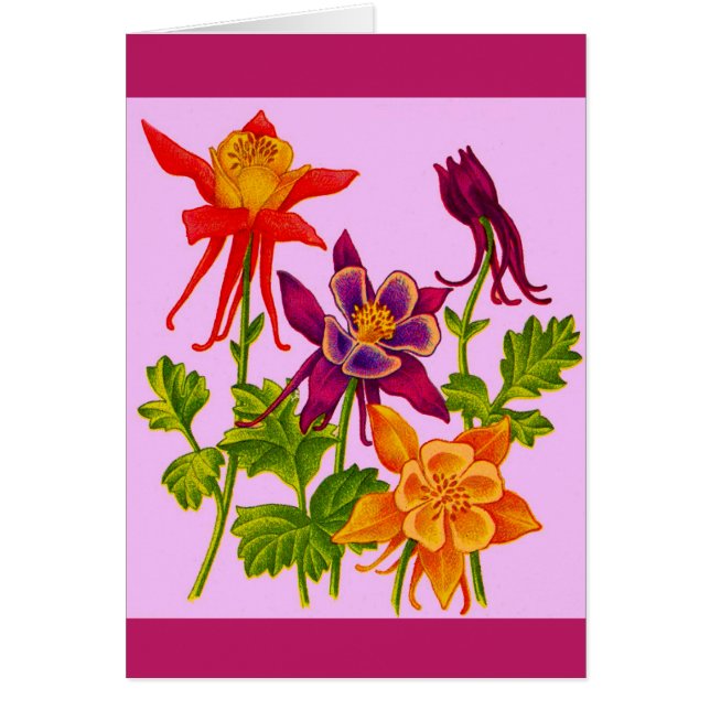 Cartão flores de columbina (Frente)