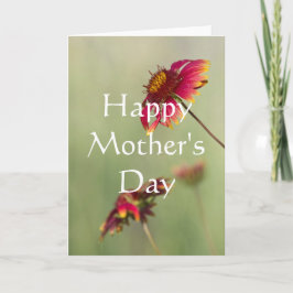 Cartão Flores de Cone começando a florescer, Feliz da Mãe