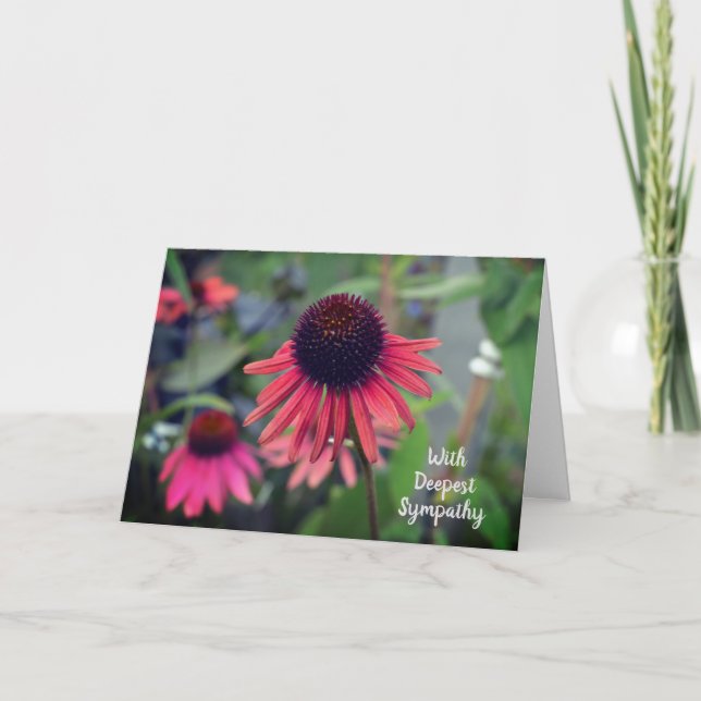 Cartão Flores de Cone Vermelho Echinacea com simpatia (Frente)