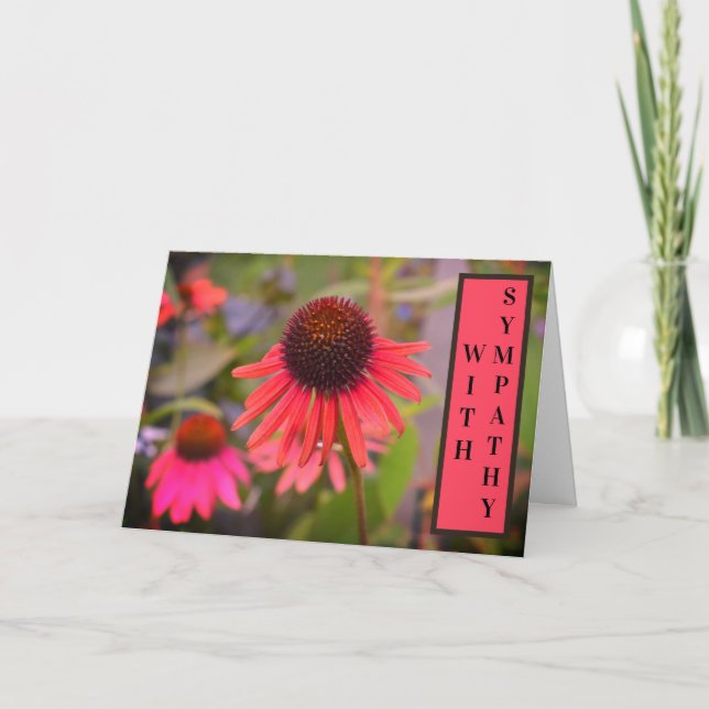 Cartão Flores de Cone Vermelho Echinacea com simpatia (Frente)