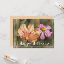 Flores de Cosmea Retro Verão Aniversário