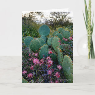 Cartão Flores De Derramamento Rosa E Cactus De Ervilha