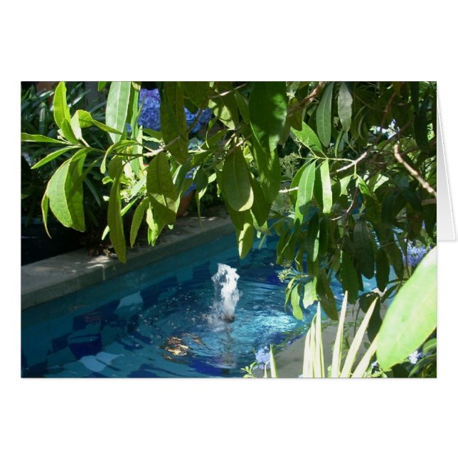 Cartão Flores de Estufa Cinco (Frente Horizontal)