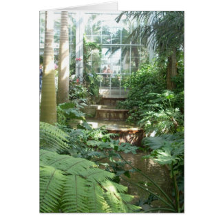 Cartão Flores de Estufa Sete