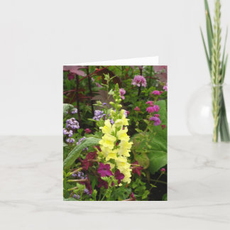 Cartão Flores de France