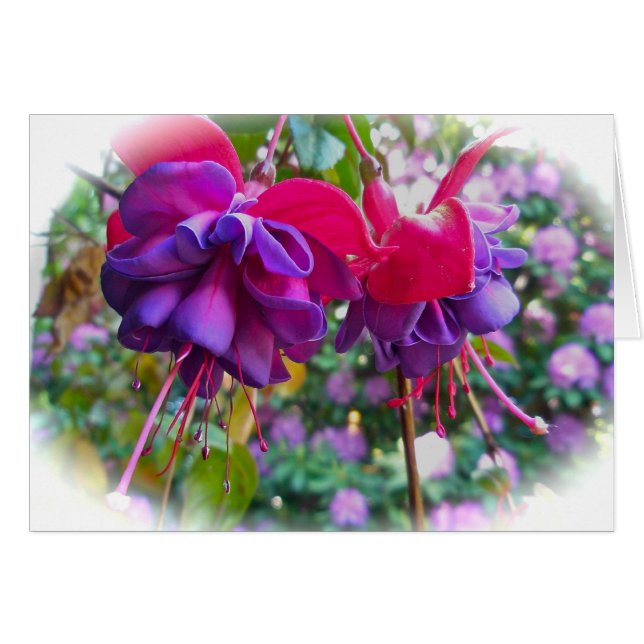 Cartão Flores de Fushia Roxo Vermelho (Frente Horizontal)