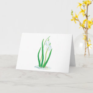 Cartão Flores de Galanthus nivalis no início da primavera
