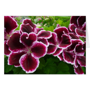 Cartão Flores de Gerânio Elegante Maroon Floral