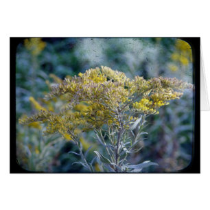 Cartão Flores de Horário de Outono