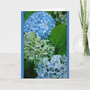 Cartão Flores de Hortênsia