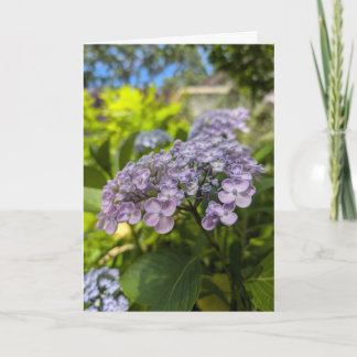 Cartão Flores de Hortênsia Lavanda