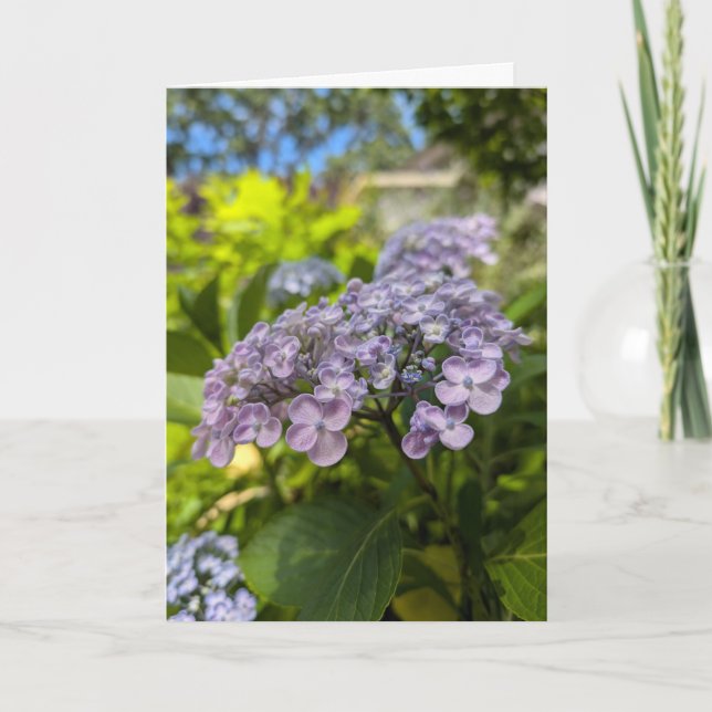Cartão Flores de Hortênsia Lavanda (Frente)