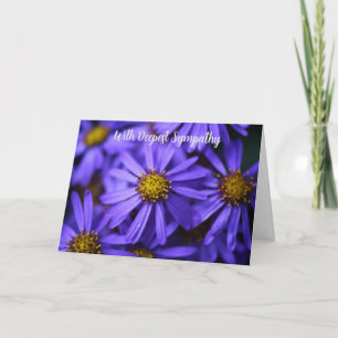 Cartão Flores De Jardim De Aster Roxo Com Mais Simpatia