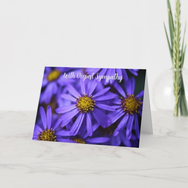 Cartão Flores De Jardim De Aster Roxo Com Mais Simpatia (Frente)