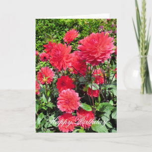 CARTÃO FLORES DE JARDIM DO PAÍS