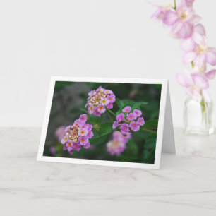 Cartão Flores de Lantana Roxas e Amarelas