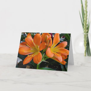 Cartão Flores de laranja