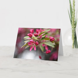 Cartão Flores de Maçã de Caranguejo Vermelho