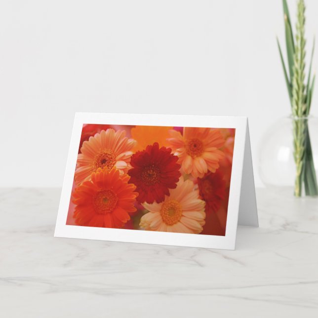 Cartão Flores de margarida laranja Nota de fotografia ou  (Frente)