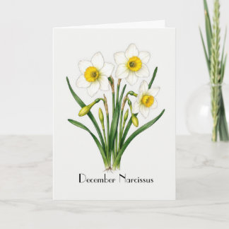Cartão Flores de Narciso de Dezembro Saudação