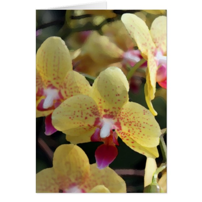 Cartão Flores de orquídea amarelas (Frente)