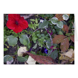 Cartão Flores de outono